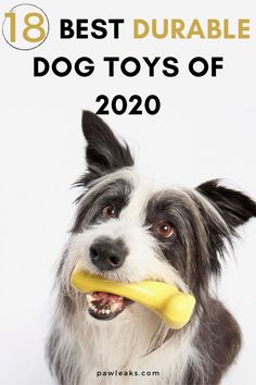 a dog holding a toy in its mouth with the words best durable dog toys of 2020