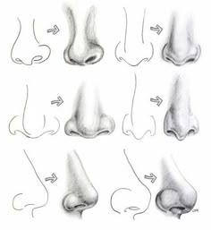 various stages of the nose and foot in different positions, with arrows pointing to each other