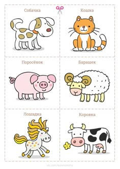 four different types of animals with names in russian and english, including cats, dogs, sheep