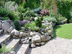 an outdoor garden with rocks and plants on the ground, along with steps leading up to it