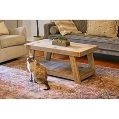 a cat sitting in front of a coffee table on top of a rug next to a couch