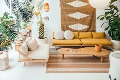 a living room filled with lots of plants and furniture