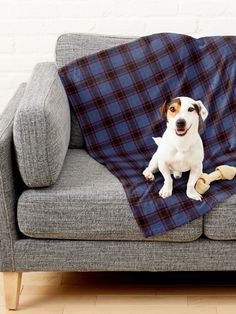 a dog sitting on top of a couch under a blanket