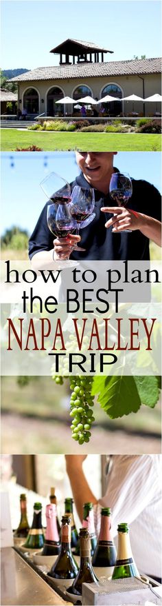 the best napa valley trip