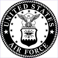 the united states air force seal with an eagle and stars on it's side