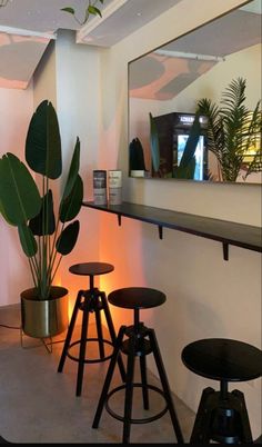 three stools in front of a mirror and some plants