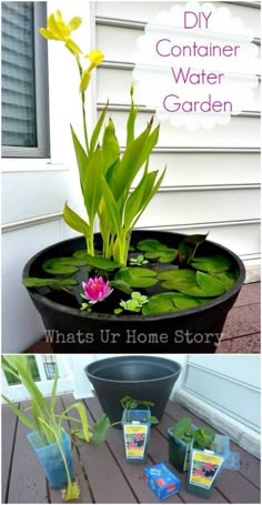 a planter filled with water plants and flowers