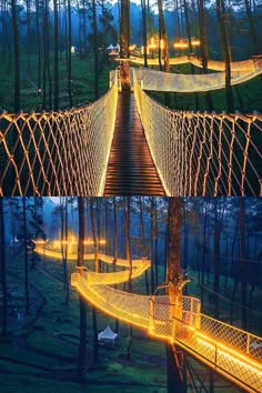 a suspension bridge lit up with lights in the forest