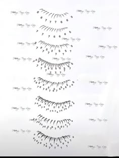 Asian Lash Extensions Mapping, Eyelash Map, Lash Academy, Menu Project, Lash Course