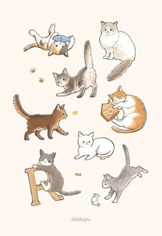 an image of cats in different positions on a white background with the letter f below it