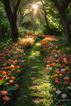 the sun shines through the trees and flowers on this path that is lined with lush green grass