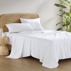 a bed with white sheets and pillows next to a potted plant on the floor