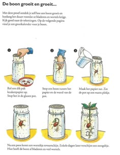 instructions on how to make an insect in a jar