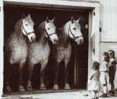 three horses are standing in an open garage door while two children look at the horse