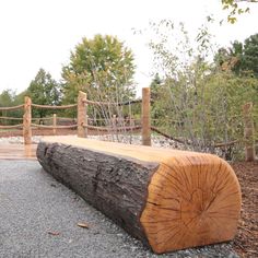 Nature's Instruments log bench outdoor seating Log Table Outdoor, Wood Log Bench, Half Log Bench, Tree Log Ideas Outdoor, Tree Logs Ideas Outdoor, Deck Bench Seating, Organic Seating, Log Benches, Old Wood Furniture