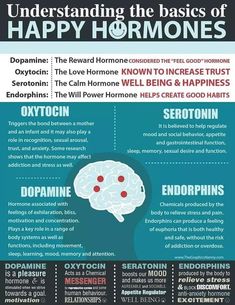 Do you want to lose weight by just drinking a cup of coffee? Happy Coffee, Happy Hormones, Vie Motivation, Hormone Health, Stephen Hawking, Health Info, Health Facts, Brain Health