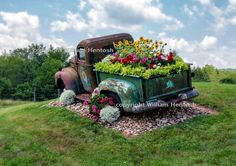 an old truck with flowers growing out of it's bed in the middle of a field