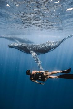 a woman swimming in the ocean with a whale behind her