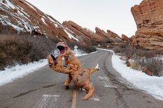 a person in an animal suit is on the road