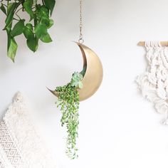 there is a plant hanging on the wall next to a crochet doily