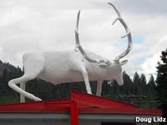 a statue of an antelope on top of a red roof with trees in the background