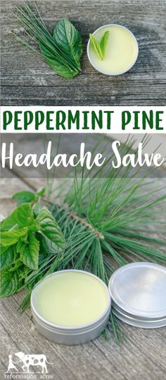 Headache Salve, Skin Recipes, Salve Recipes, Homemade Ideas, Natural Healing Remedies, Herbal Healing, Diy Remedies, Holistic Remedies, Naturopathy