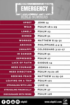 an image of the bible's names and numbers for each church member in their life