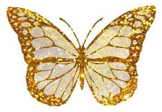 a white butterfly with gold glitters on it's wings