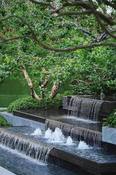 a garden with water features and trees in the background