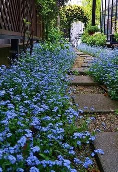 blue flowers are growing along the side of a building