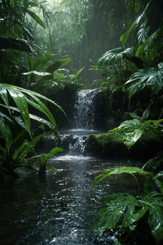 a small waterfall surrounded by lush green plants