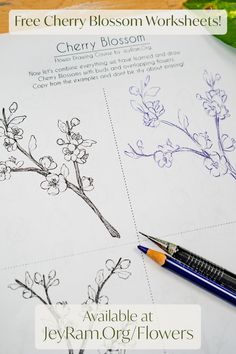 the cherry blossom worksheets are available at jekyram org / flowers com