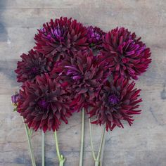 three large purple flowers sitting on top of a wooden table