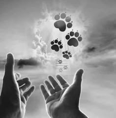 two hands reaching out towards each other with paw prints in the sky and clouds above