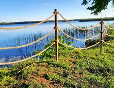 a rope fence on the side of a lake with grass growing around it and water in the background