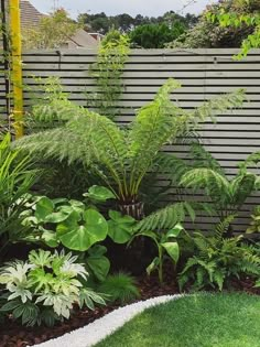 a garden with lots of green plants next to a fence and some grass on the ground