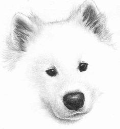 a drawing of a white dog's face