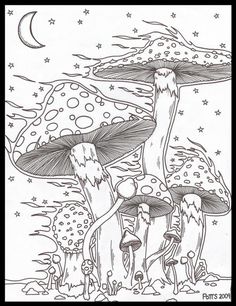 some mushrooms are growing on the ground with stars and moon in the sky above them