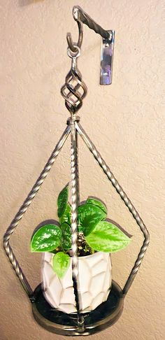 a potted plant hanging from a hook on the wall