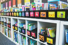 many books are lined up on shelves in a room with carpeted flooring and walls full of brightly colored children's books