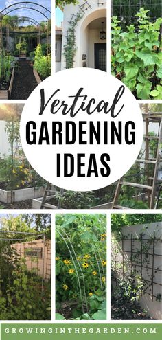 several different types of vertical gardening ideas