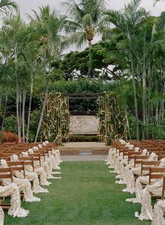 an outdoor ceremony setup with wooden chairs and white flowers on the aisle, surrounded by palm trees