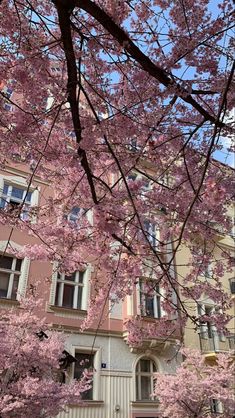 pink flowers are blooming on the trees in front of an apartment building