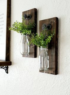 two mason jars with plants are hung on the wall