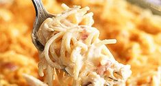 a fork full of macaroni and cheese is being lifted from the casserole dish