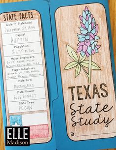 the texas state study book is open and ready to be used as an activity for students