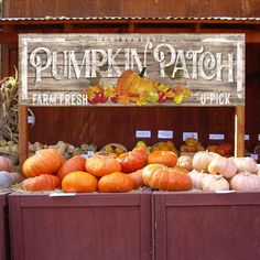 Fall sign decor Family name pumpkins farm fresh u-pick on faux wood background and white text Harvest Sign, Barn Signs, Patio Signs, Textured Wood, Metal Barn, Fall Wall Decor, Wood Pumpkins, Fall Sign