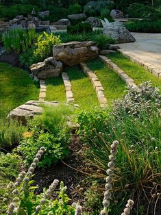 a garden with rocks, grass and flowers