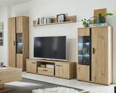 a living room filled with furniture and a flat screen tv on top of a wooden entertainment center