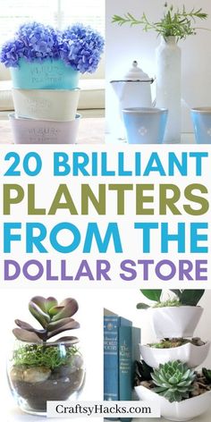 20 brilliant planters from the dollar store